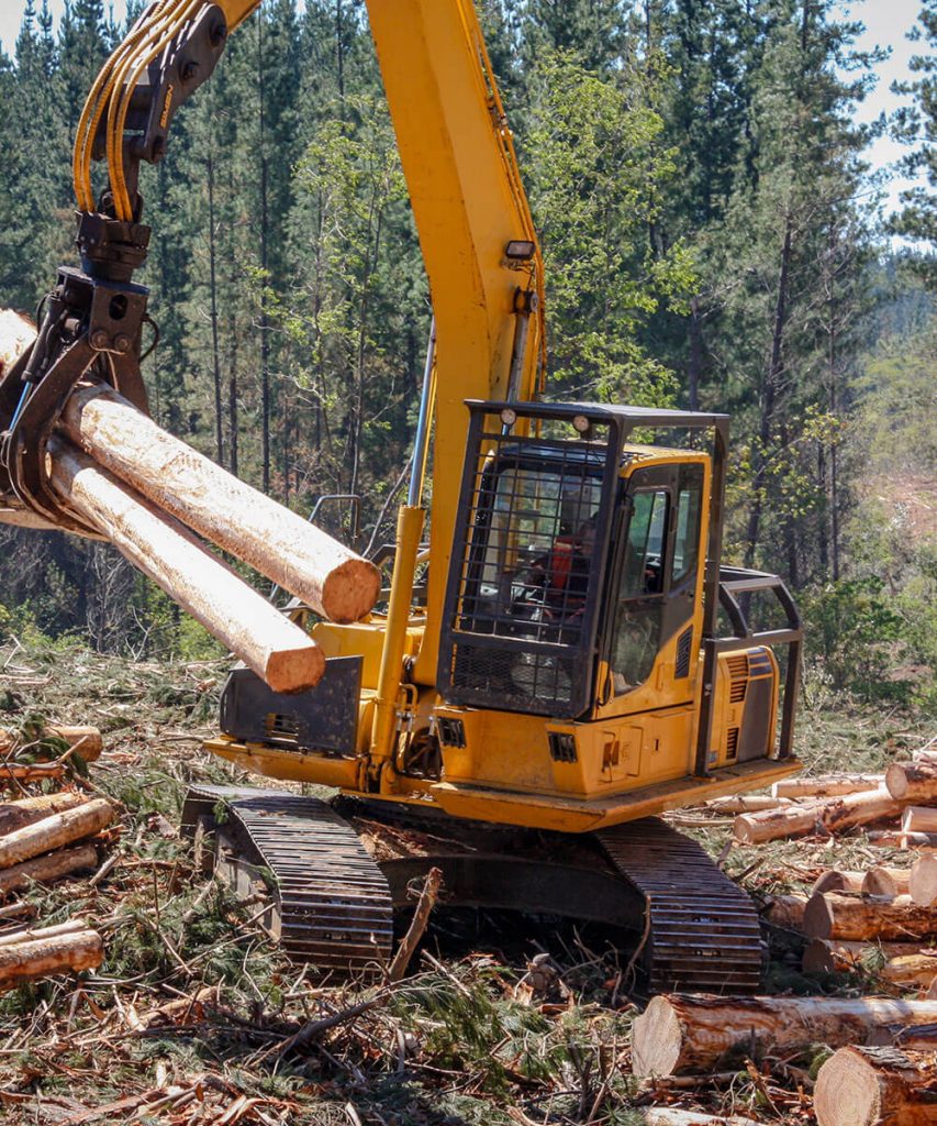 Logging Equipment Forest Machine